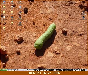 desktop_kurbasch.jpg