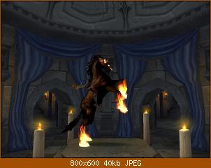 pferd.jpg