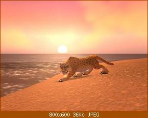 wowscrnshot_081708_201953.jpg