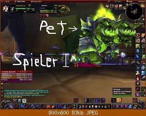 pets-zukunft-.jpg