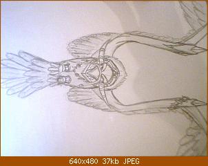 bild-015.jpg