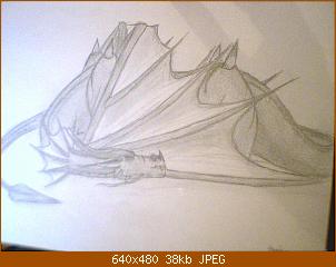 bild-016.jpg