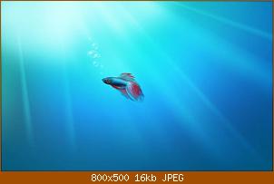 img24.jpg