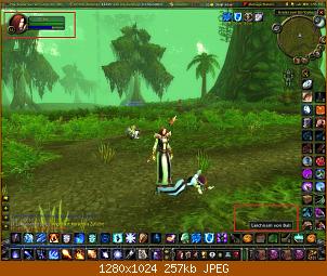 wowscrnshot_070208_135333.jpg