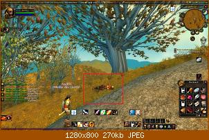 wowscrnshot_080608_101647.jpg