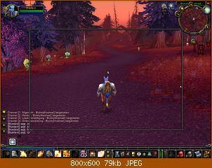 wowscrnshot_012309_175156.jpg