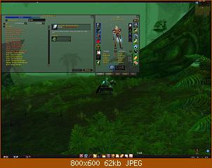 wowscrnshot_021809_000823.jpg