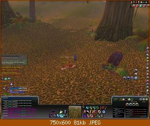 wowscrnshot_021909_190330.jpg