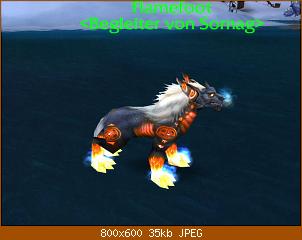 wowscrnshot_022209_184548.jpg