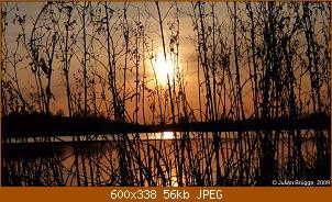 6-42c6db11b7cd9cc87c1ec3232a35c595.jpg