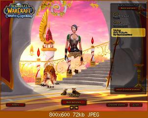 wowscrnshot_041609_163722.jpg