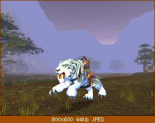 wowscrnshot_011809_132503.jpg