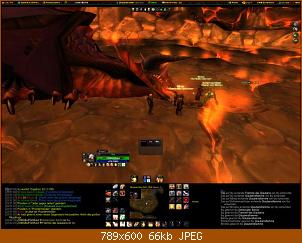 wowscrnshot_063009_200230.jpg