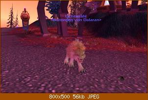 wowscrnshot_092709_110040.jpg