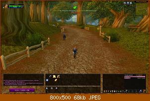 wowscrnshot_110809_131328.jpg