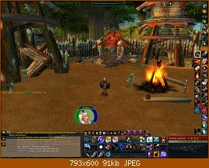 wowscrnshot_111509_124719.jpg
