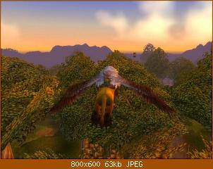 wowscrnshot_112609_193000.jpg