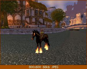 wowscrnshot_112609_195728.jpg