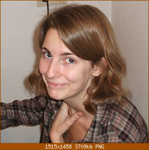 ichausschnitt.png