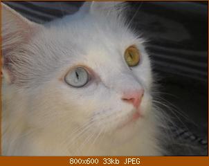 p1010003.jpg