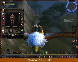 wowscrnshot_011010_213611.jpg