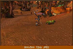 wowscrnshot_041610_203030.jpg
