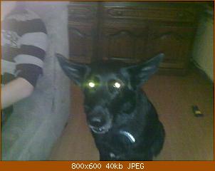 20100601_41.jpg