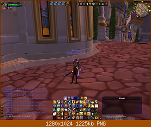 wow-20100602-083452.png