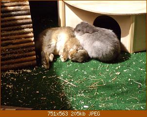 bild-004.jpg