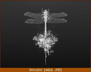 abstract_0074_lightbox.jpg