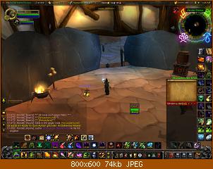wowscrnshot_072110_010910.jpg