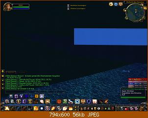 wowscrnshot_081110_141652.jpg