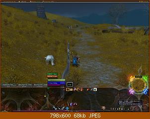 wowscrnshot_081210_214835.jpg