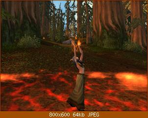wowscrnshot_083110_135522.jpg
