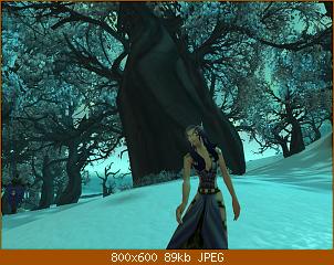 wowscrnshot_083110_135119.jpg