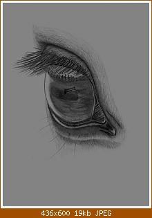 ilariaa-albums1400-picture10247.jpg
