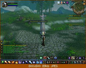 wowscrnshot_112510_013719.jpg