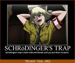 schroedingers-trap.jpg