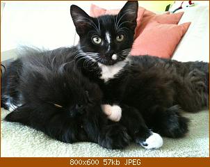 mobilepics-106.jpg