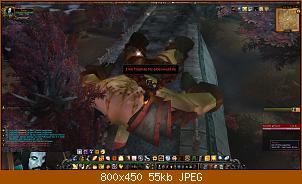 wowscrnshot_120610_184755.jpg