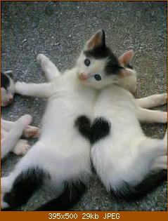 we-luv-you.jpg