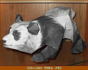 sdc11021.jpg