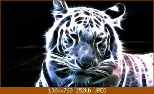 neon_white_tiger_wallpaper_8jf0r.jpg