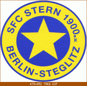stern_1900_logo2.gif