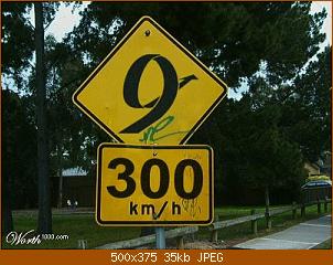4150380eb_w.jpg