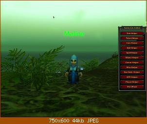 wowscrnshot_022008_170315.jpg