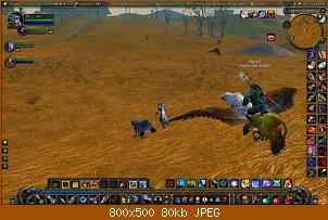 wowscrnshot_103107_151405.jpg