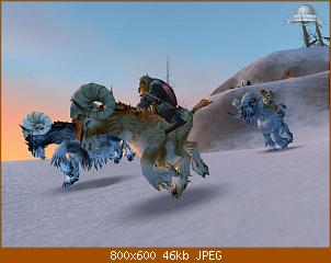1289.jpg