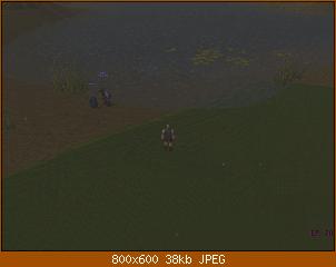 wowscrnshot_071408_094932.jpg
