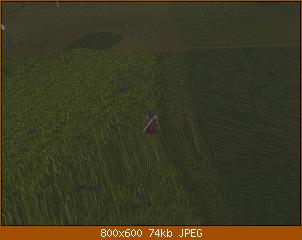 wowscrnshot_071408_105928.jpg